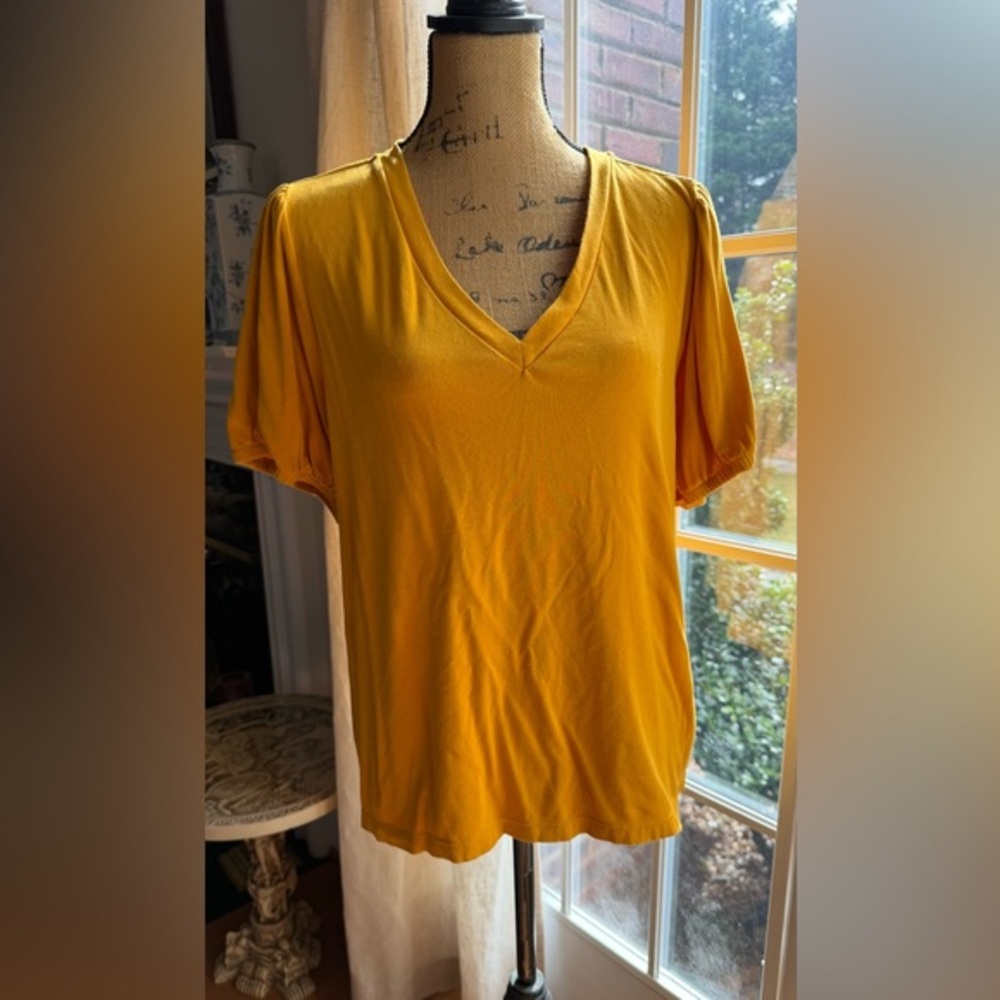 Riley & Rae Mustard V-Neck Short Sleeve Top